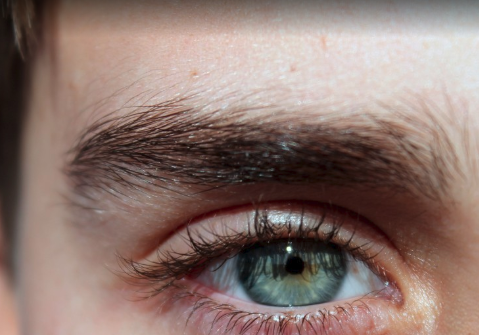 Ultimate Guide to Eyebrow Transplants